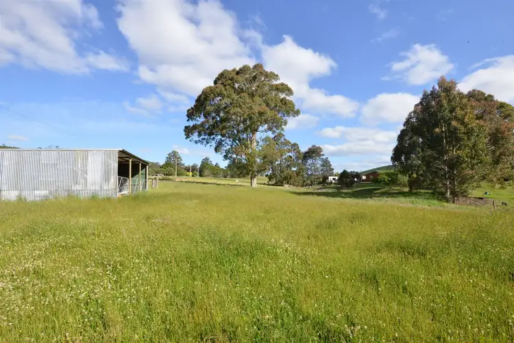 Sixth view of Homely rural property listing, 1435 Pine Road, Riana TAS 7316