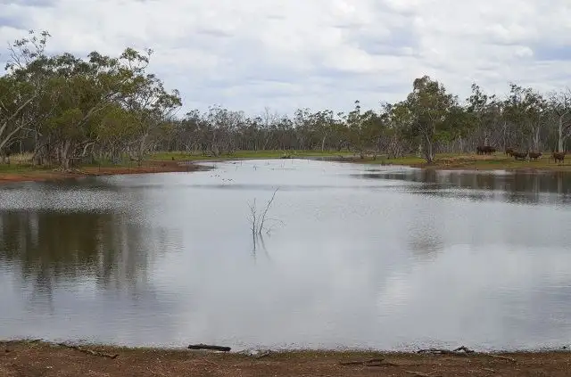 Main view of Homely rural property listing, * Cooneybar Station, Cobar NSW 2835