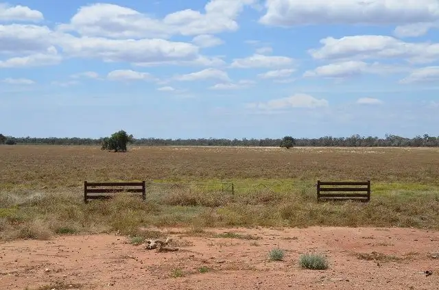 Third view of Homely rural property listing, * Cooneybar Station, Cobar NSW 2835