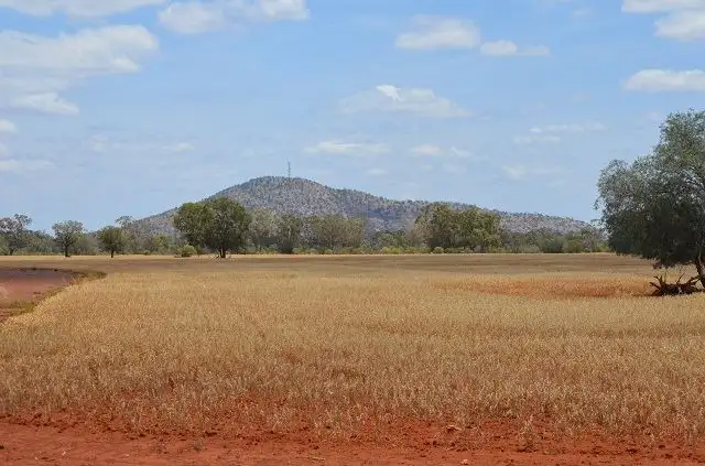 Fourth view of Homely rural property listing, * Cooneybar Station, Cobar NSW 2835
