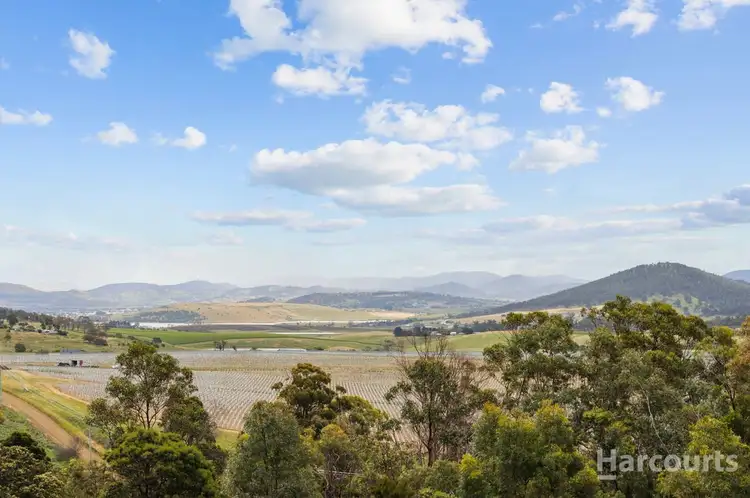 Fourth view of Homely house listing, 310 Gilling Brook Road, Forcett TAS 7173