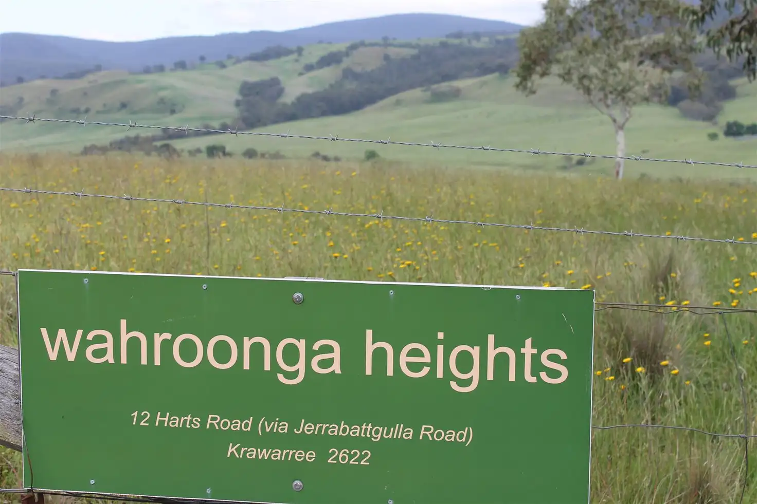 Main view of Homely rural property listing, 12 Harts Road, Braidwood NSW 2622