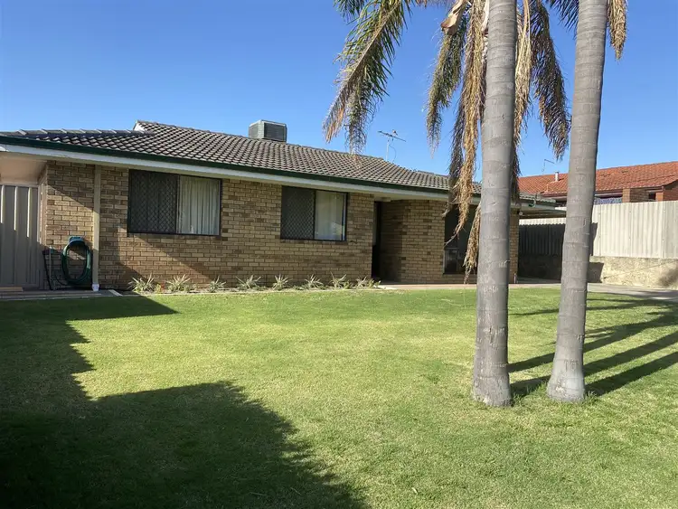 Second view of Homely house listing, 7 Quickly Crescent, Hamilton Hill WA 6163