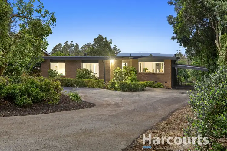 Main view of Homely house listing, 13 Halcyon Avenue, The Patch VIC 3792