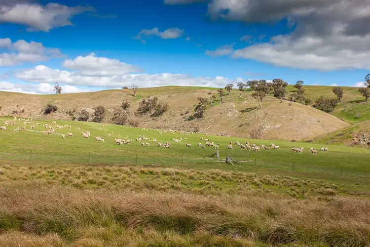 Second view of Homely rural property listing, Address available on request