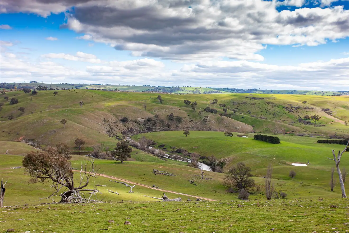 Main view of Homely rural property listing, Address available on request