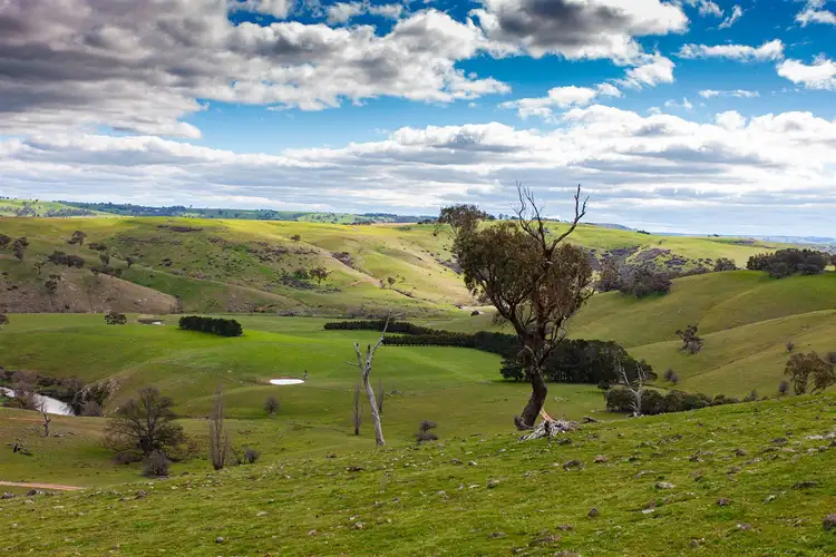 Second view of Homely rural property listing, Address available on request