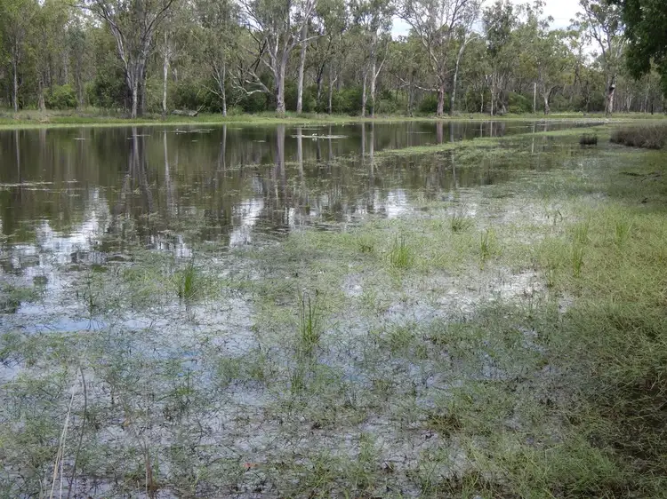 Sixth view of Homely rural property listing, Lot 94 Butts Road, Chinchilla QLD 4413