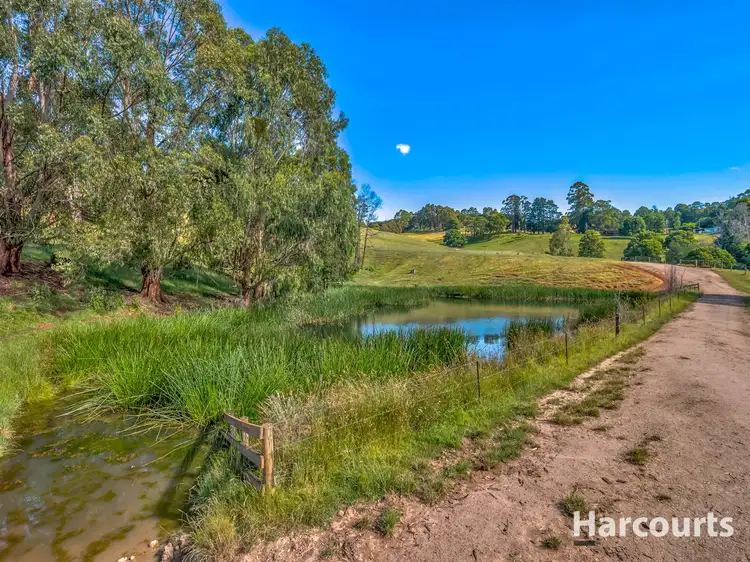 Fifth view of Homely rural property listing, Lot 2, 275 Rogers Road, Trafalgar South VIC 3824