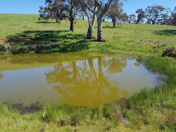 Seventh view of Homely rural property listing, 1188 Caddigat Road, Adaminaby NSW 2629