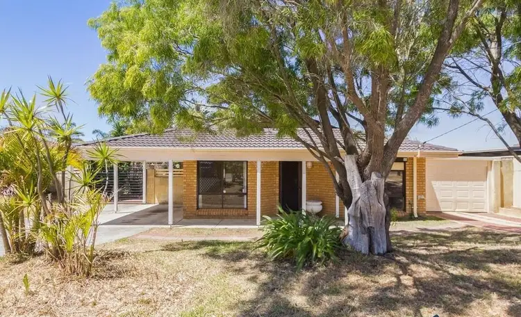 Second view of Homely house listing, 42 Oakleaf Circle, Mirrabooka WA 6061