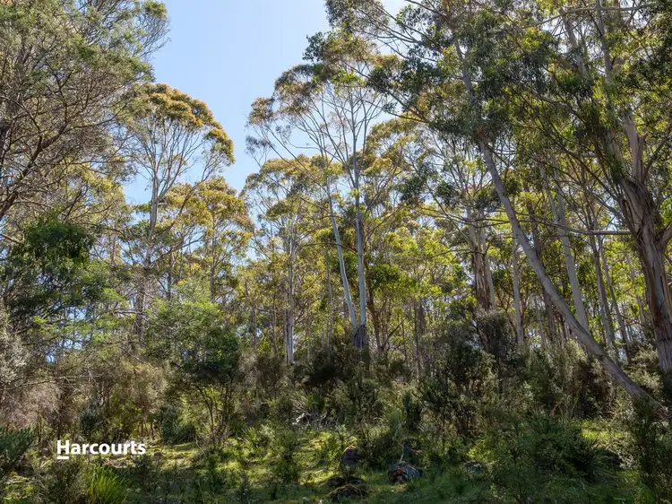 Sixth view of Homely land listing, Lot 2 Sorell Street, Port Huon TAS 7116