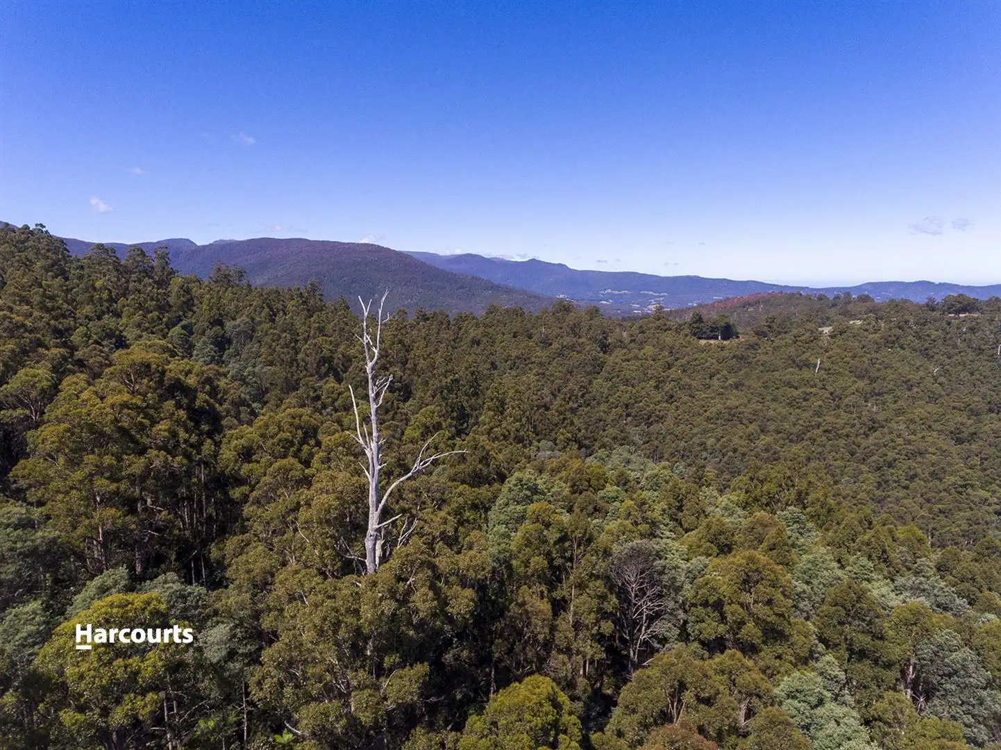 Main view of Homely land listing, Lot 1 & 7 Bakers Creek Road, Lucaston TAS 7109