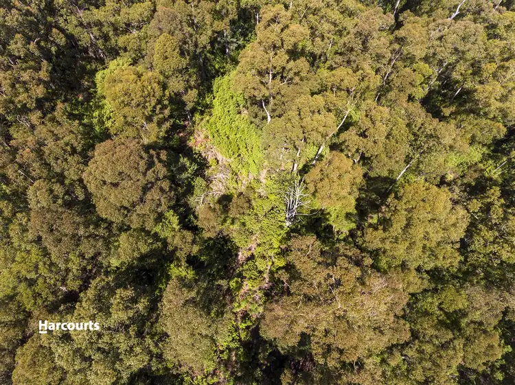 Second view of Homely land listing, Lot 1 & 7 Bakers Creek Road, Lucaston TAS 7109