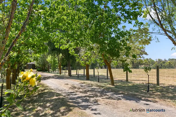 Third view of Homely rural property listing, 4 Prospect Lane, Alexandra VIC 3714