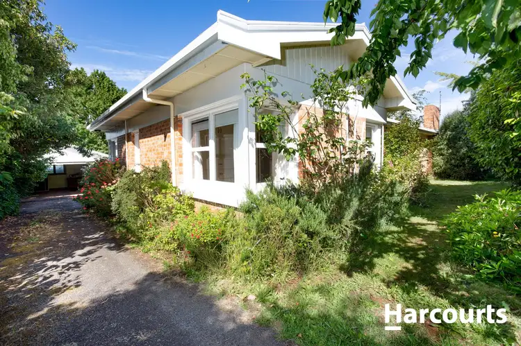 12 Mary Street, Scottsdale TAS 7260
