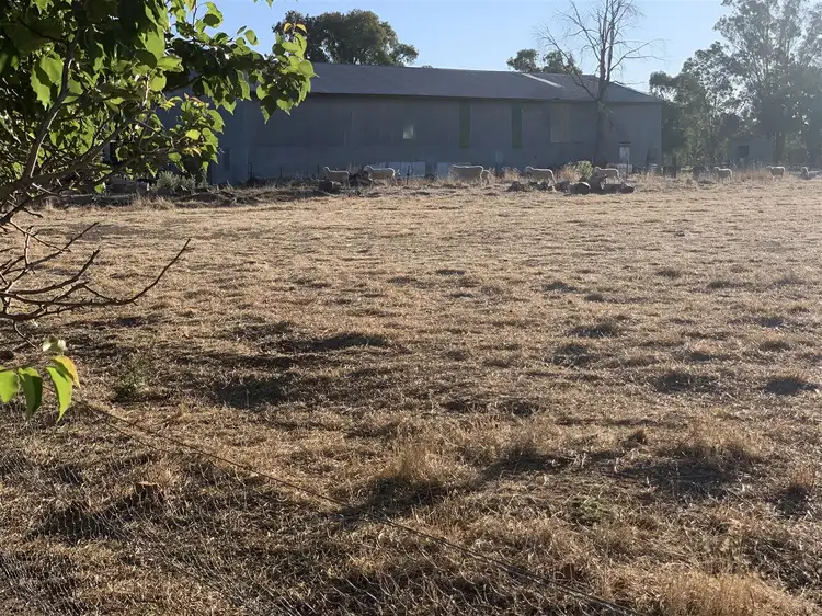 9 Smart Street, Henty NSW 2658