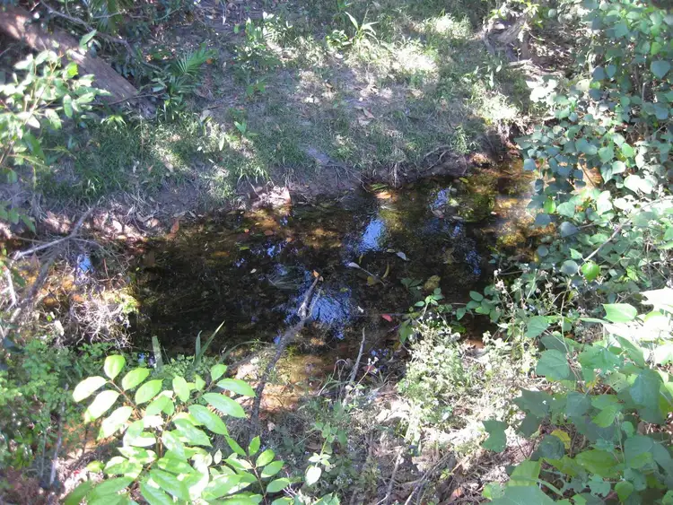 Sixth view of Homely rural property listing, Address available on request