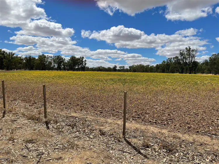 Second view of Homely rural property listing, . McDonald Road, Picola VIC 3639