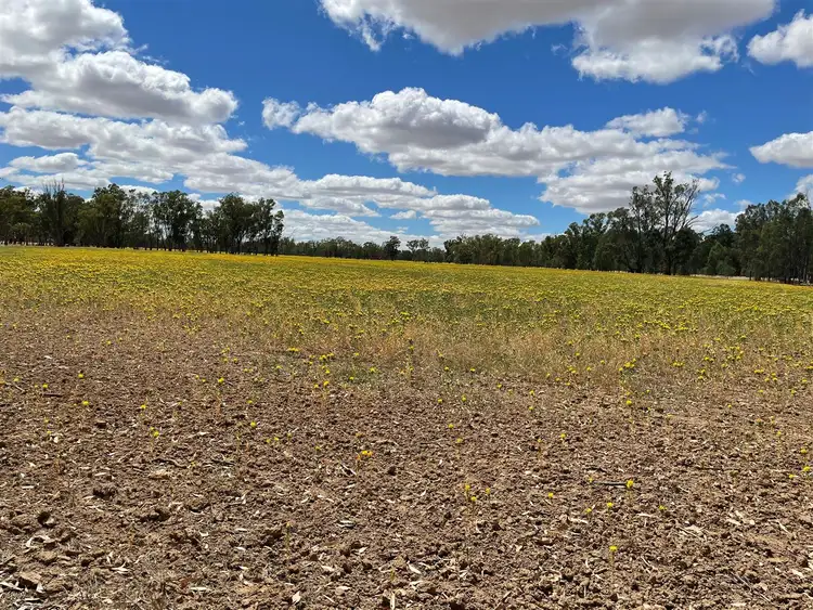 Third view of Homely rural property listing, . McDonald Road, Picola VIC 3639