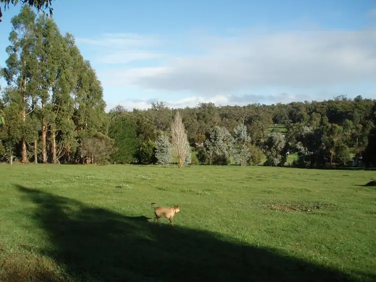 Fifth view of Homely house listing, 19 James Street, North Greenbushes WA 6254