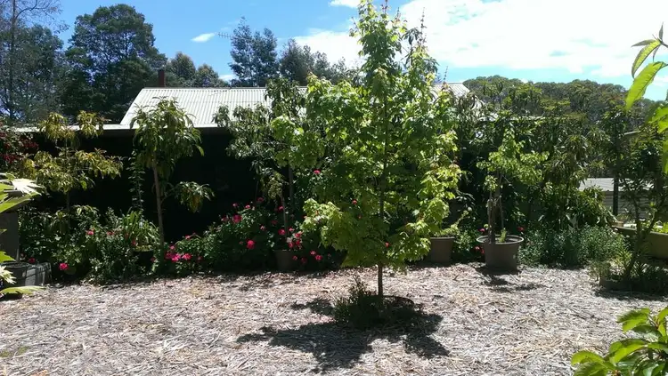 Seventh view of Homely house listing, 19 James Street, North Greenbushes WA 6254