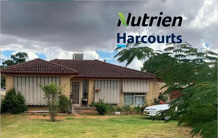 53 Cutler Avenue, Cootamundra NSW 2590