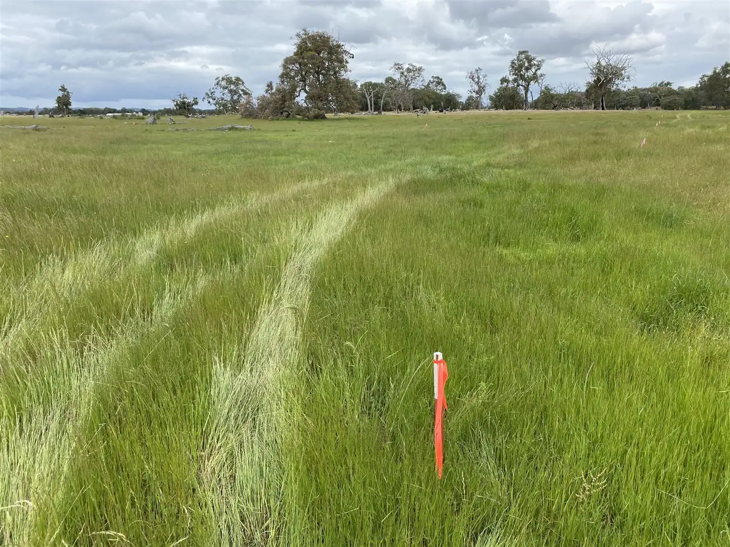 Main view of Homely land listing, 8 Lots Holland Loop, Crooked Brook WA 6236