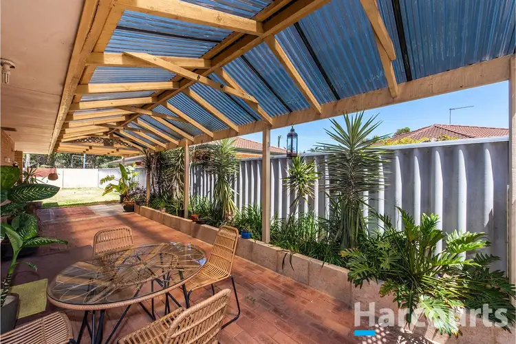 Main view of Homely house listing, 1/16 Tansey Way, Falcon WA 6210