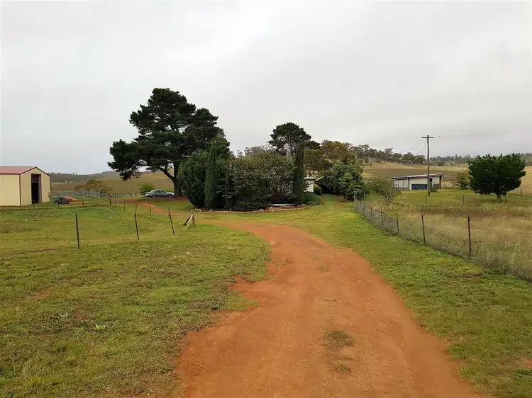 Fourth view of Homely rural property listing, "Pine Cottage" 369 Collins Rd, Numeralla, Cooma NSW 2630