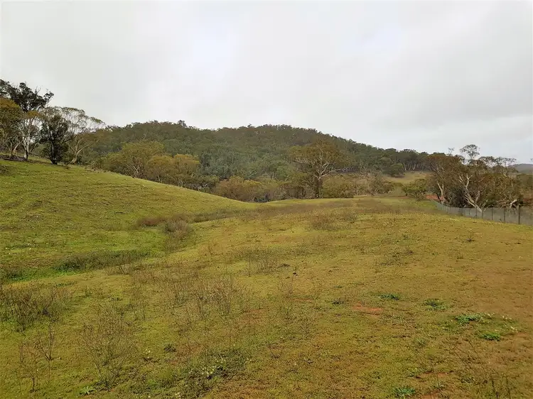 Fifth view of Homely rural property listing, "Pine Cottage" 369 Collins Rd, Numeralla, Cooma NSW 2630