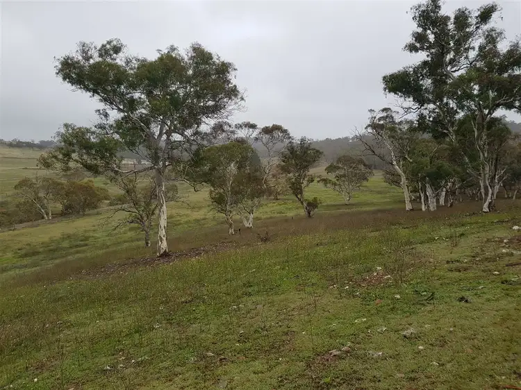 Sixth view of Homely rural property listing, "Pine Cottage" 369 Collins Rd, Numeralla, Cooma NSW 2630