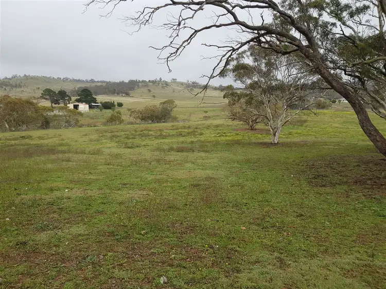 Seventh view of Homely rural property listing, "Pine Cottage" 369 Collins Rd, Numeralla, Cooma NSW 2630