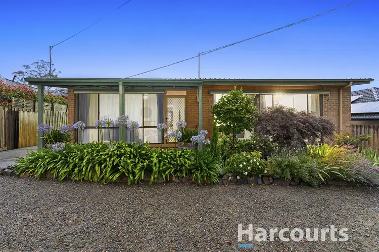 Main view of Homely house listing, 19 Kingston Street, Ferntree Gully VIC 3156