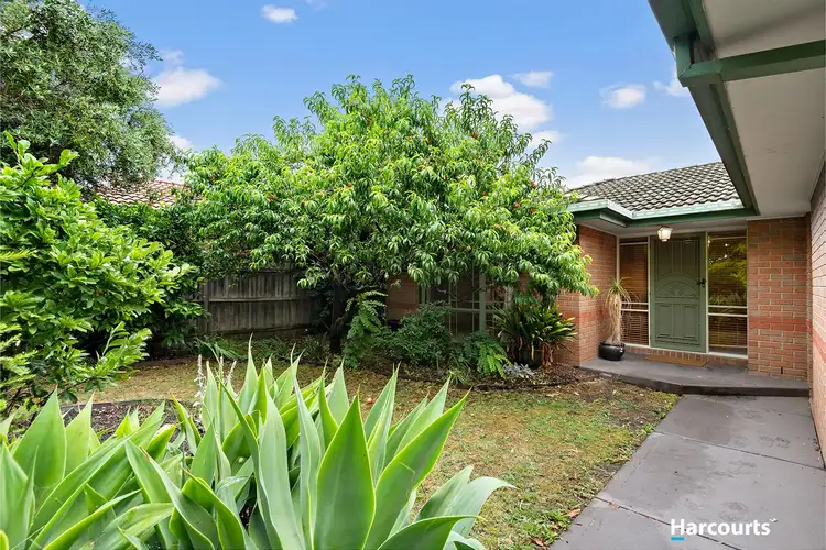 13 Tralee Circuit, Narre Warren VIC 3805