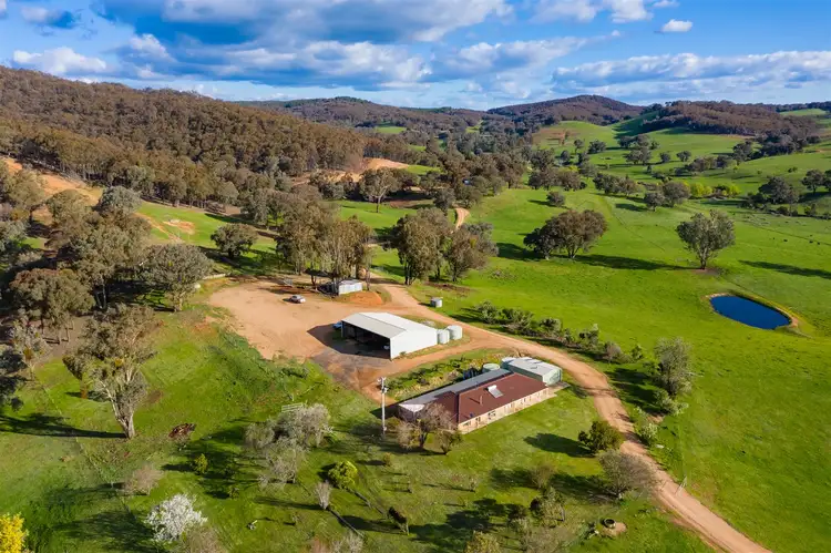 468 Vokins Creek Road, Holbrook NSW 2644