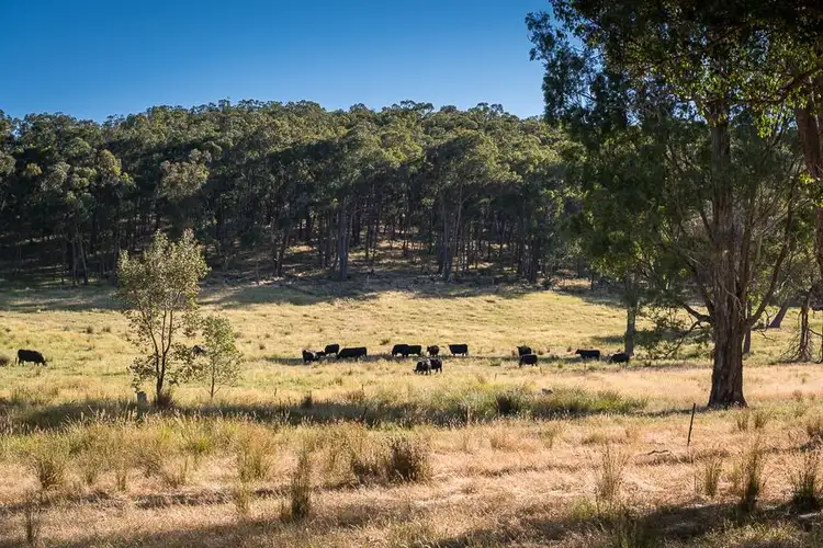 Fourth view of Homely rural property listing, Lot 4 O'Deas Rd Sth, Tatong VIC 3673