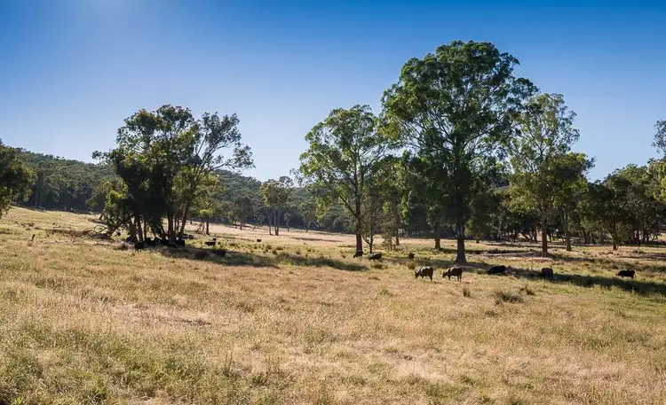 Sixth view of Homely rural property listing, Lot 4 O'Deas Rd Sth, Tatong VIC 3673