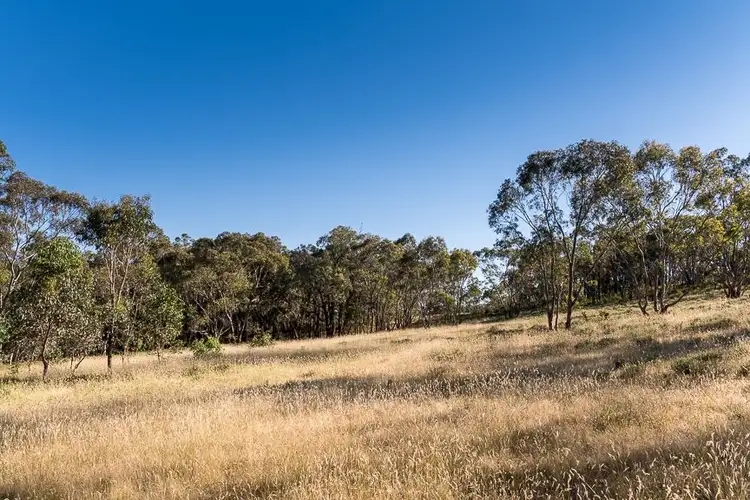 Seventh view of Homely rural property listing, Lot 4 O'Deas Rd Sth, Tatong VIC 3673