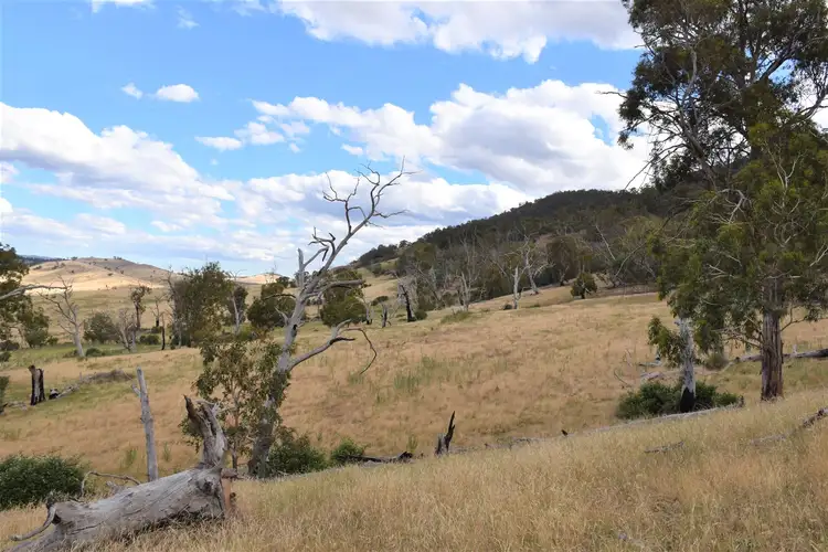 Third view of Homely rural property listing, 3 Omeo Valley Road, Omeo VIC 3898