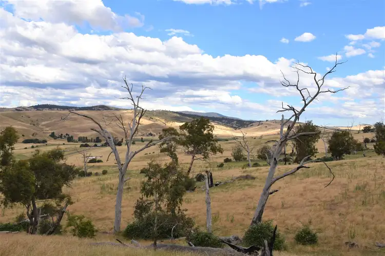Fourth view of Homely rural property listing, 3 Omeo Valley Road, Omeo VIC 3898