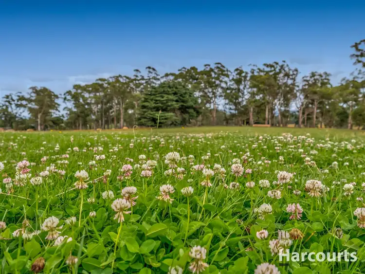 Sixth view of Homely rural property listing, 1361 Old Sale Road, Buln Buln VIC 3821