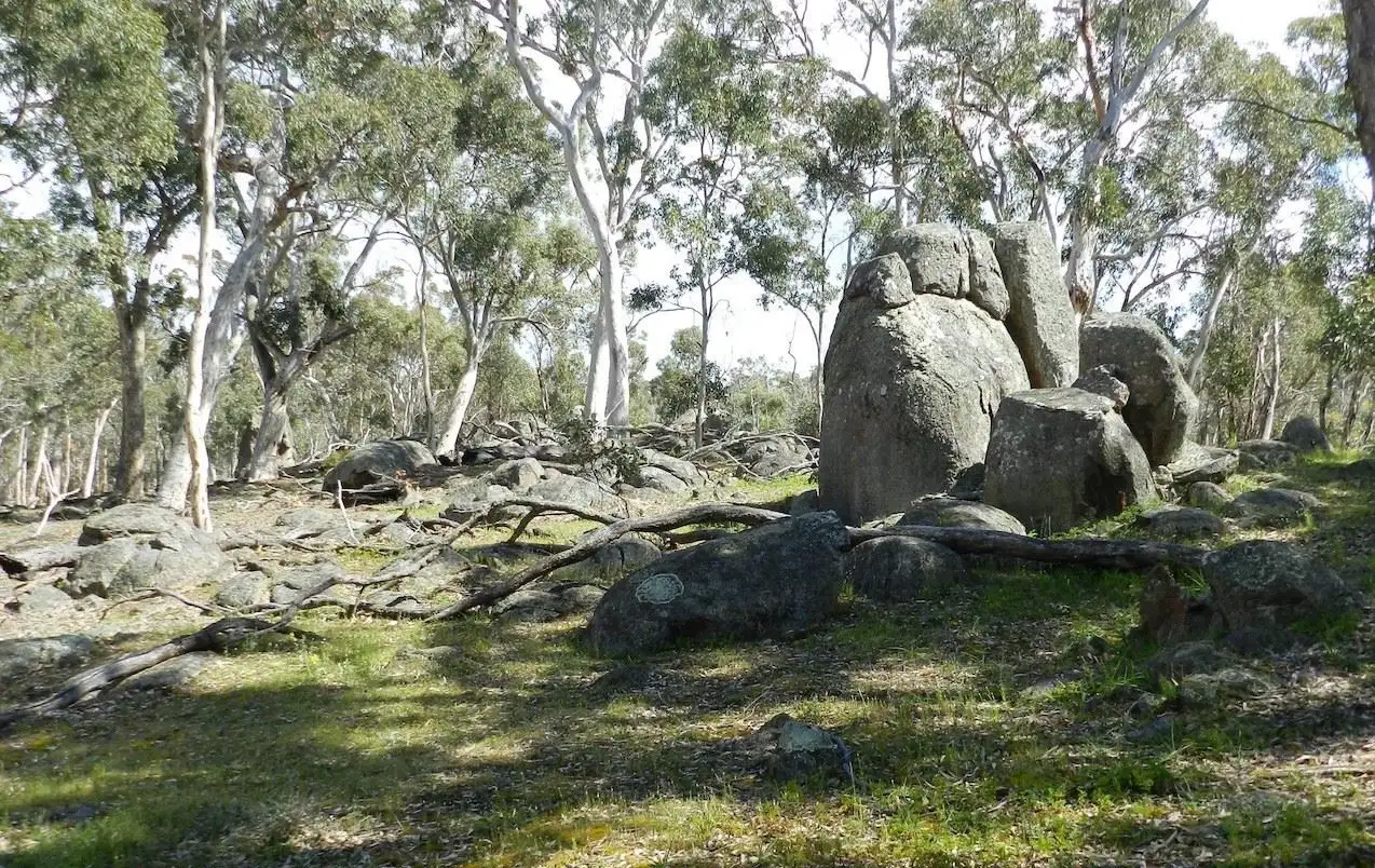 Main view of Homely rural property listing, Lot 100 Trigwell Road, Trigwell, Moodiarrup WA 6393