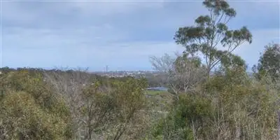 Second view of Homely house listing, 7 Melingie Court, Happy Valley SA 5159