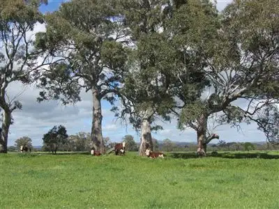 Sixth view of Homely rural property listing, 250 Sheans Creek Road, Euroa VIC 3666