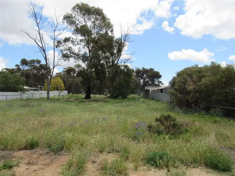 Main view of Homely land listing, 103 Victoria Street, Peterborough SA 5422