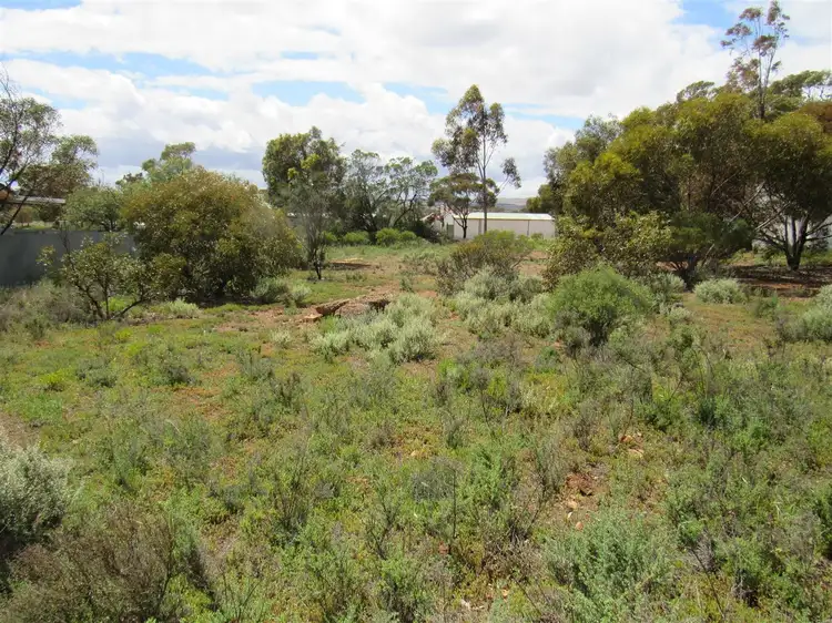 Main view of Homely land listing, 19 Railway Street, Peterborough SA 5422
