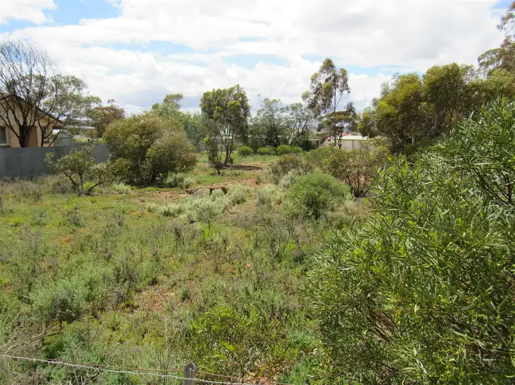 Second view of Homely land listing, 19 Railway Street, Peterborough SA 5422