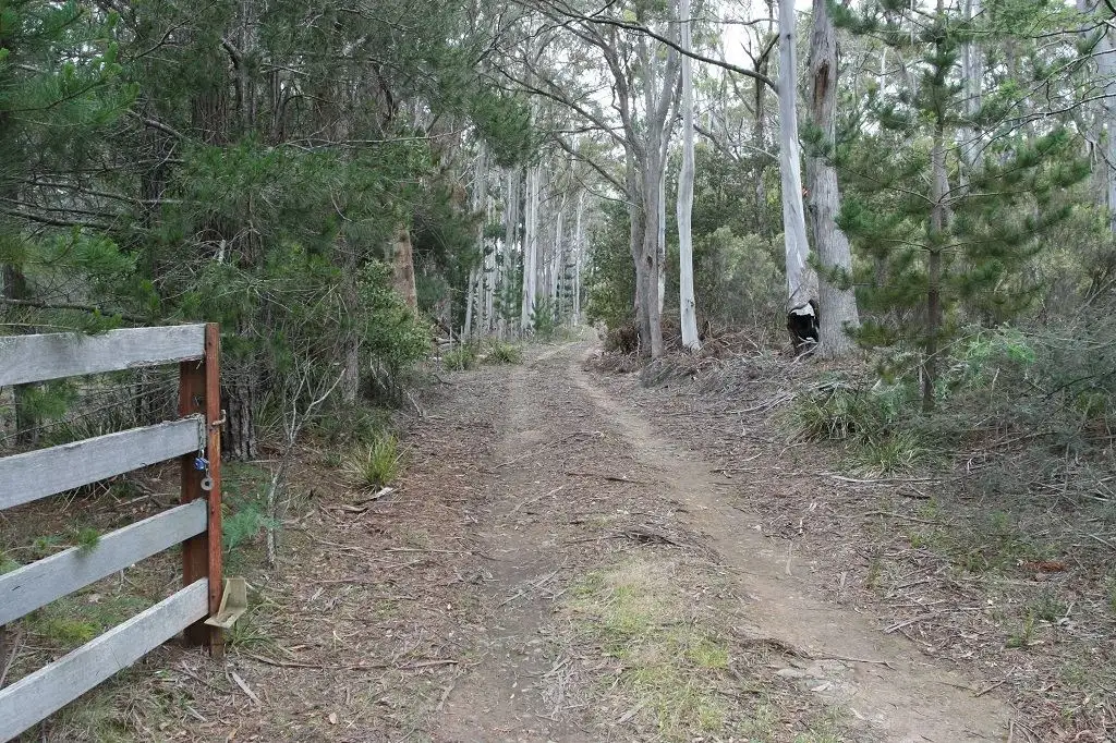Main view of Homely land listing, 237 Elephant Pass Road, St Marys TAS 7215