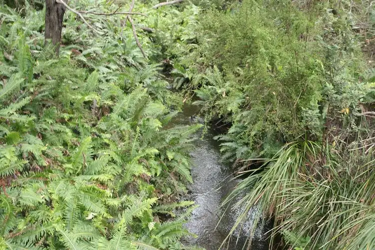 Second view of Homely land listing, 237 Elephant Pass Road, St Marys TAS 7215